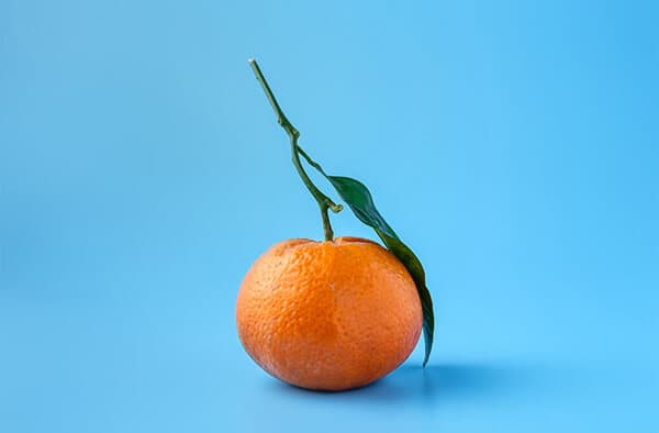 Orange on Blue